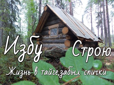 Видео: Жизнь в тайге.Забыл спички! Изба "Глухариная" строительство