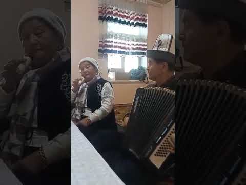 Видео: 4 ноября 2025 г.