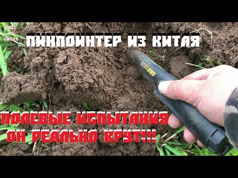Видео: Пинпоинтер с Алиэкспресс Полевые испытания