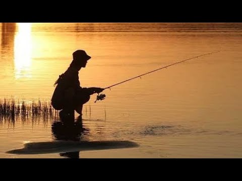 Видео: Игорян 72 Осенняя рыбалка 🐟 на севере.