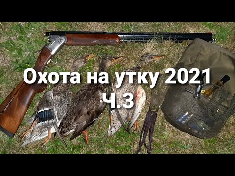 Видео: Охота на утку 2021. ч.3