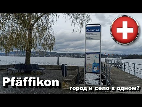 Видео: 🇨🇭 Pfäffikon - город и село в одном?  • Настоящая Швейцария