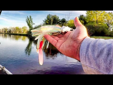 Видео: ОТКРЫТИЕ СЕВЕРНОГО ВИСКОНСИНА ПО МУСКАНИЮ!! - Личный рекорд Бебивера по мускари