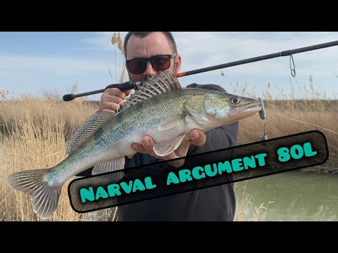 Видео: 2 Часть весеннего выходного на рыбалке,ловим судака с берега, Argument 80L в главной роли.