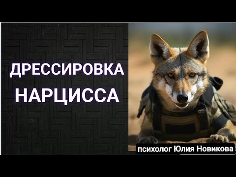 Видео: Дрессировка нарцисса #нарцисс