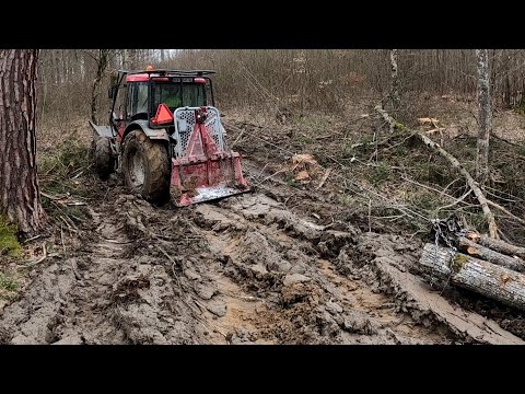 Видео: Снова вырубка более толстых деревьев на болоте по грязной местности, Stihl ms 500i, Amles,Forestwork