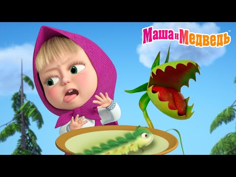 Видео: Маша и Медведь 🤢 Маша пробует странную еду! 😬🍽️ Коллекция летних серий про Машу 🎬 Мультики для детей