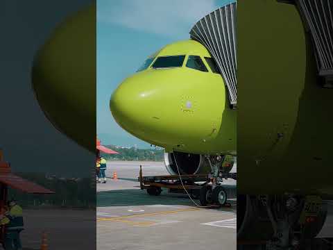 Видео: 5 способов отличить Boeing 737 от Airbus A320 #aviation  #boeing #airbus