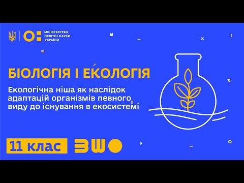 Видео: 11 клас. Біологія і екологія. Екологічна ніша. Поняття про спряжену еволюцію та коадаптацію