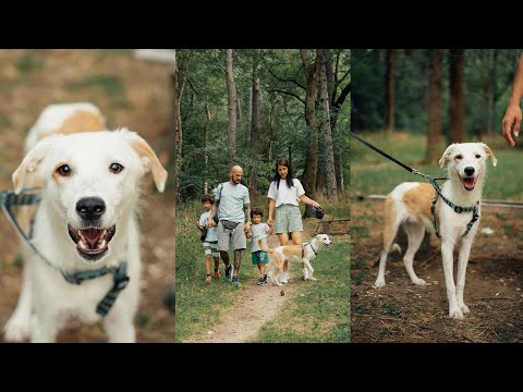 Видео: Новият живот на Лина | Осиновители и осиновени