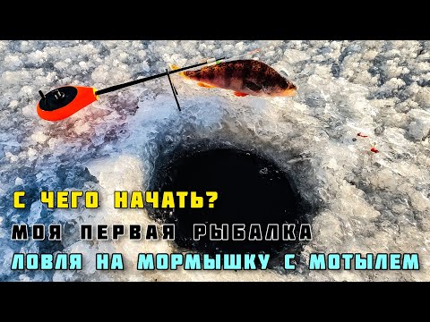 Видео: ПЕРВАЯ ЗИМНЯЯ РЫБАЛКА с чего начать новичку? мормышки на окуня с мотылём первый лёд декабрь 2020