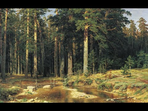 Видео: Случай в Итларе