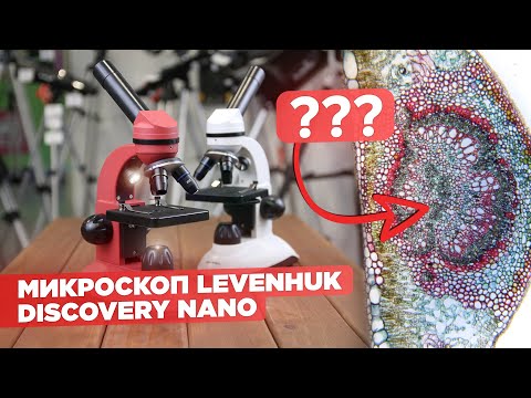 Видео: Смотрим в школьный микроскоп Levenhuk Discovery Nano | Обзор и тест