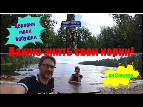 Видео: Вокруг Онеги на машине/Нашел деревню моей бабушки/СПб-Пиндуши.