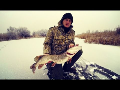 Видео: Жерлицы. Зимняя рыбалка. Ловля щуки на жерлицы. Мото рыбалка. Щука.