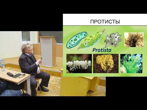 Видео: Розанов | «Лекторий кругозор» | Лекция 1 | ВМК МГУ