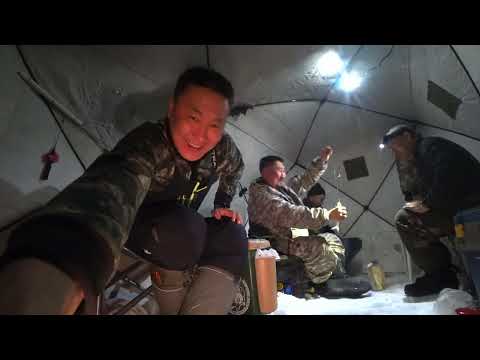 Видео: НОЧНОЙ ЖОР РЫБЫ!