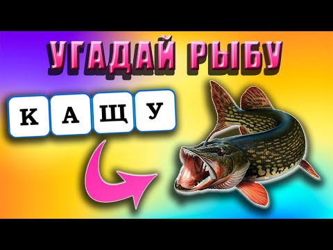 Видео: УГАДАЙ НАЗВАНИЕ РЫБЫ ПО БУКВАМ
