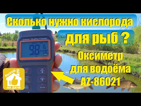Видео: Оксиметр для водоёма AZ 68021. Сколько нужно кислорода для рыб?