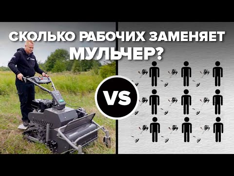 Видео: Сколько работников с бензокосами заменят один мульчер?#gardening #дачасадогород #газонокосилка#обзор