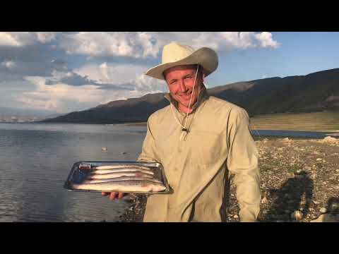 Видео: Киргизия Токтогульское водохранилище