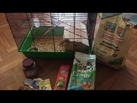 Видео: Покупки из зоомагазина для Мифи/Первые покупки для крысы