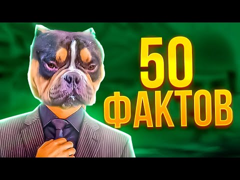 Видео: 50 ФАКТОВ про ВОЛОДЮ. (KXRVINHO)