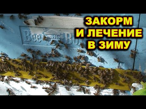 Видео: Закорм и лечение пчёл в зиму. Про суеверия.