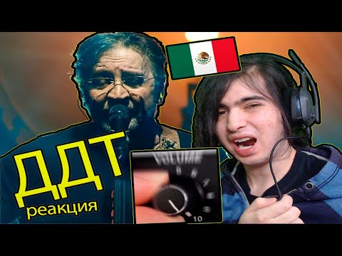 Видео: Иностранец смотрит ДДТ— МЕТЕЛЬ || Реакция Иностранца на ДДТ— МЕТЕЛЬ