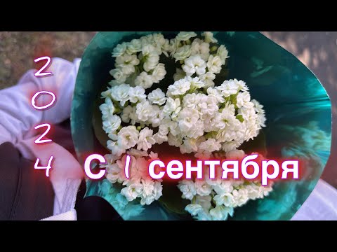 Видео: С 1 сентября ✨🍁✨Калининград 🏫2024🎓