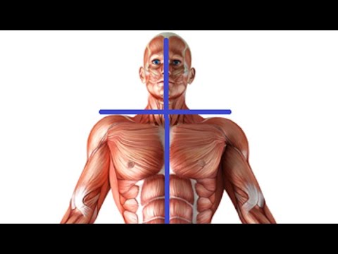 Видео: Зеркало частот биологических объектов (20.11.2020)