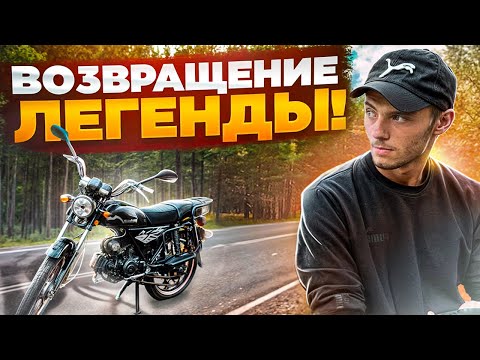 Видео: 😱ВЕРНУЛ ЛЕГЕНДАРНУЮ АЛЬФУ! ЗАЧЕМ Я ЕЕ КУПИЛ? РОЗЫГРЫШ АЛЬФЫ! ЧТО БУДЕТ ДАЛЬШЕ?