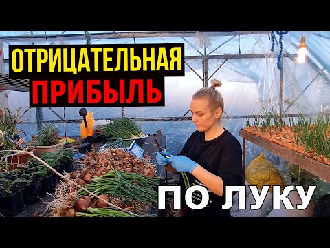 Видео: Сколько заработали на луке? Сеем цветы. Ремонт продолжается.