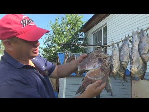 Видео: Копчение рыбы. На рыбалку за огороды