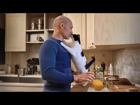 Видео: Когда котёнок выбирает тебя как человека на всю жизнь 😻 Милые видео с котятами и людьми