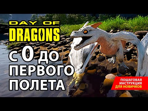 Видео: С РОЖДЕНИЯ ДО ПЕРВОГО ПОЛЕТА - Day of Dragons - Пособие для новичков