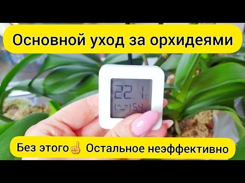 Видео: Основной УХОД за ОРХИДЕЯМИ || Температура, свет, полив и влажность для орхидей