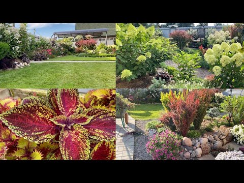 Видео: Мой день/ стрижка /уборка/обработка/обзор КОЛЕУСОВ / Ленинградская область