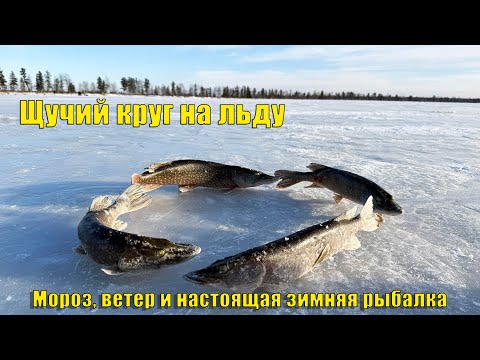 Видео: Щучий круг на льду! Первый настоящий мороз и азарт рыбалки. Зимняя рыбалка 2025.