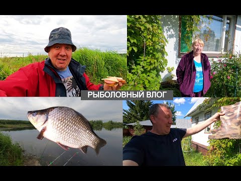 Видео: Рыбалка на Болотах / Ермолино, Обзор Покупок / Дачный ВЛОГ