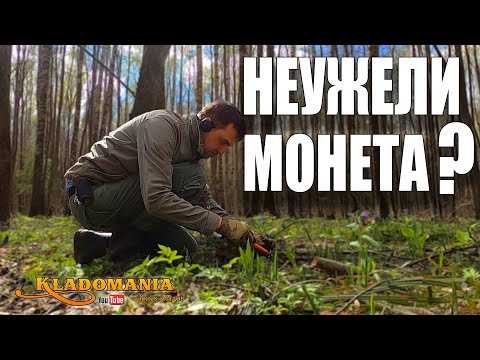 Видео: ЧТО можно НАЙТИ в лесу, если просто ходить ПО ЛЕСНЫМ ТРОПИНКАМ. КЛАДОМАНИЯ