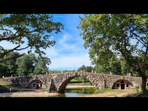 Видео: Веди.Василево-Митино с Павлом Морозовым