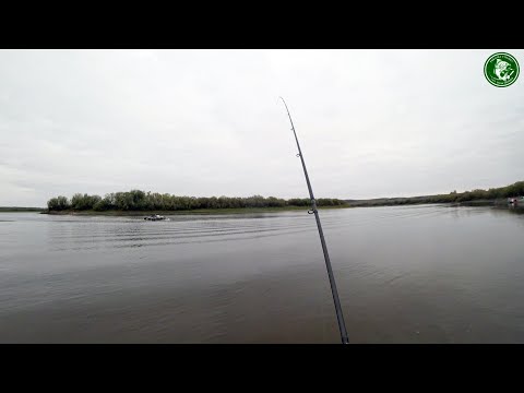 Видео: СЕЙЧАС МЫ ПОСМОТРИМ У КОГО КРУПНЕЕ! ТРЕТИЙ ДЕНЬ РЫБАЛКИ НА РЕКЕ ТАВДА, УТРО ПЕРЕД ОТЪЕЗДОМ ДОМОЙ!