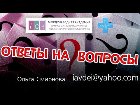 Видео: Ответы на вопросы