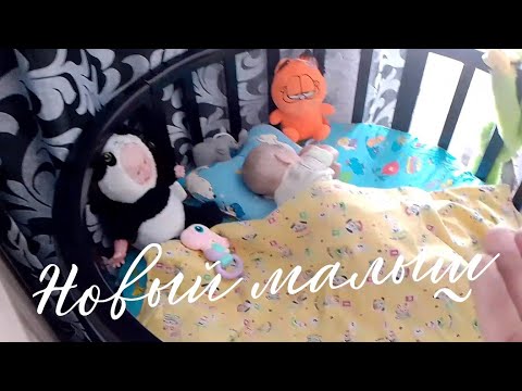 Видео: утро с тремя реборнами/у нас пополнение/