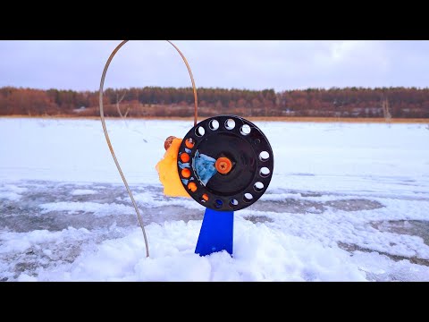 Видео: Сразу же начались сработки на жерлицы. Рыбалка декабрь 2024.
