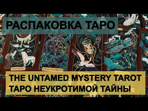 Видео: РАСПАКОВКА The Untamed Mystery Tarot  | Таро Неукротимой Тайны брак и мятая коробка