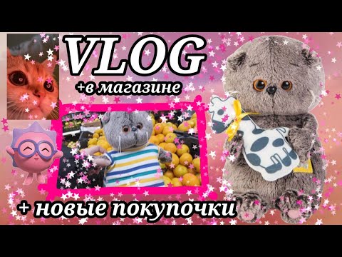 Видео: Влог с БАСИКОМ в магазине✨💗.