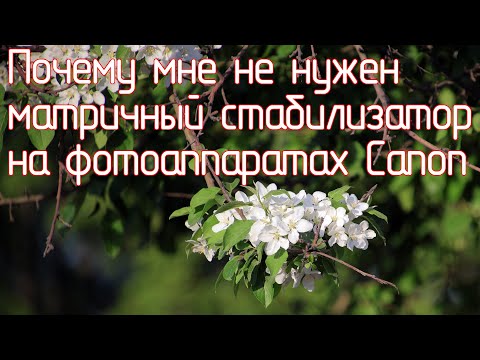 Видео: Почему мне не нужен матричный стабилизатор на фотоаппаратах Canon