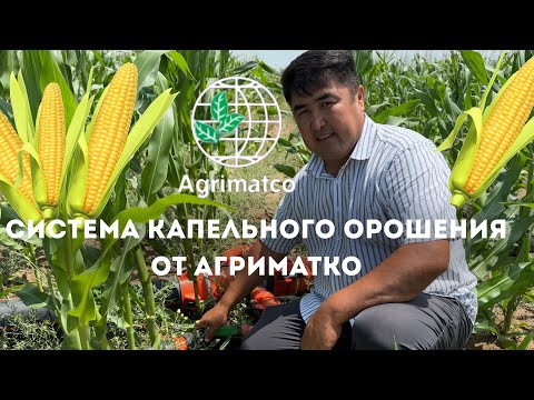 Видео: ЛУЧШАЯ СИСТЕМА КАПЕЛЬНОГО ОРОШЕНИЯ ОТ АГРИМАТКО КЫРГЫЗСТАН🌱